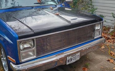 Chevy-1500-scottsdale-1986-blue-2