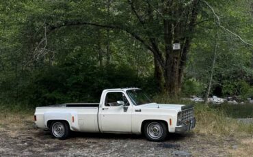 Chevy-1979-white-6