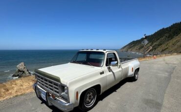 Chevy-1979-white-9