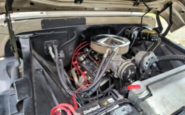 Chevy-c-10-1965-brown-5