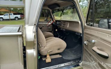 Chevy-c-10-1965-brown-7