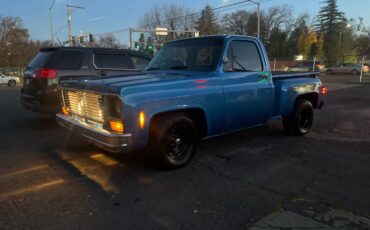 Chevy-c-10-1977-blue
