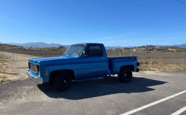 Chevy-c-10-1977-blue-4