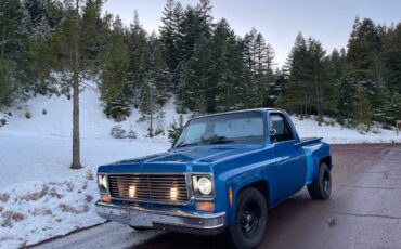 Chevy-c-10-1977-blue-9