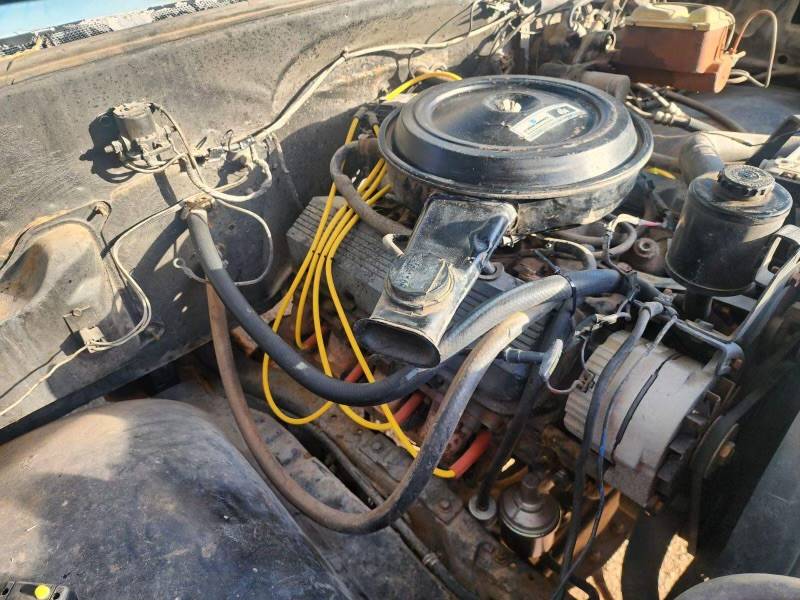 Chevy-c-30-1976-blue-3