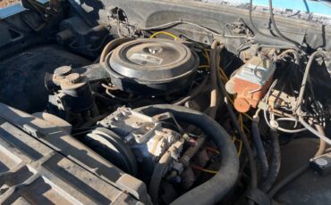 Chevy-c-30-1976-blue-5