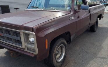 Chevy-c10-1979-brown-1