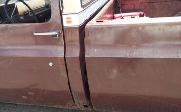 Chevy-c10-1979-brown-2