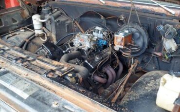 Chevy-c10-1979-brown-3
