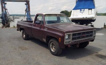 Chevy-c10-1979-brown