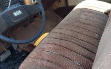 Chevy-c10-1979-brown-4