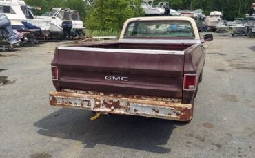 Chevy-c10-1979-brown-7