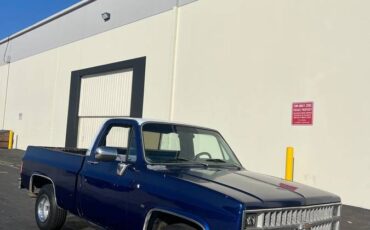 Chevy-c10-1981-1