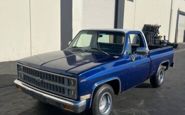 Chevy-c10-1981-3