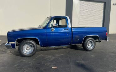 Chevy-c10-1981-4