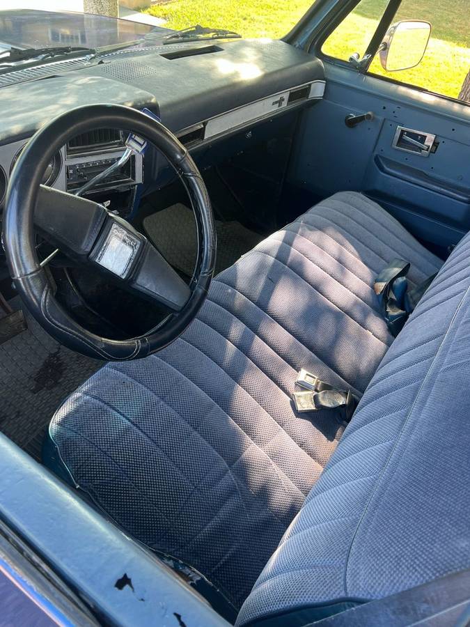 Chevy-c10-1981-9