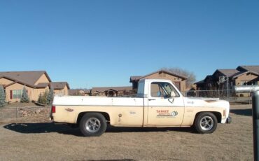 Chevy-c10-pickup-1974-custom-12