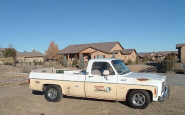 Chevy-c10-pickup-1974-custom-14