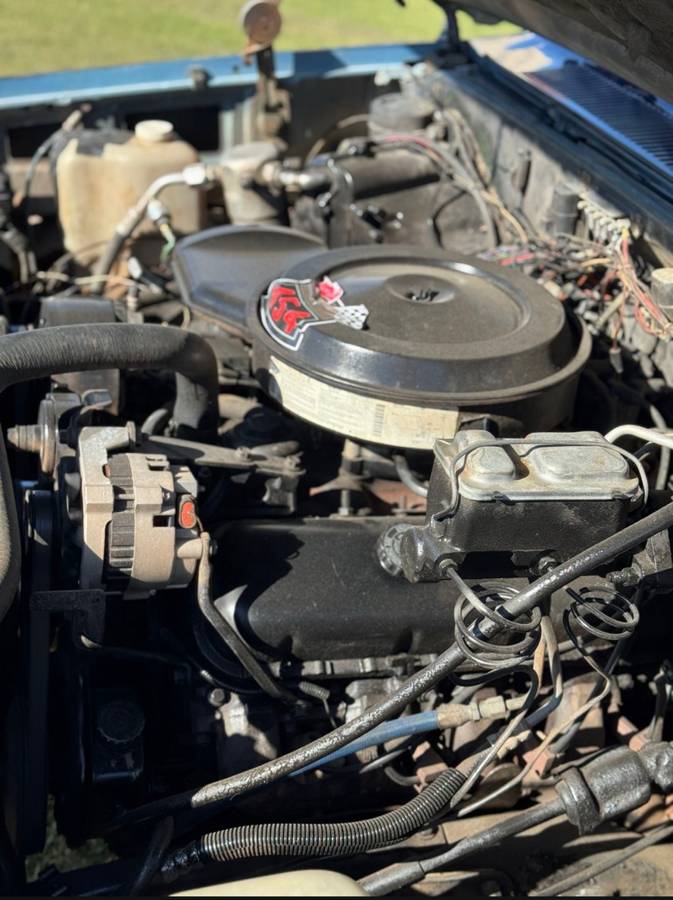 Chevy-c10-truck-1975-grey-6