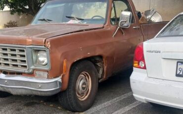 Chevy-c10-truck-1976-1