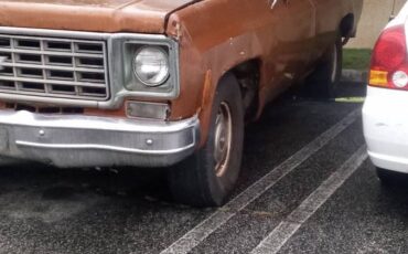 Chevy-c10-truck-1976