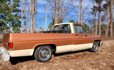 Chevy-c10-truck-1981