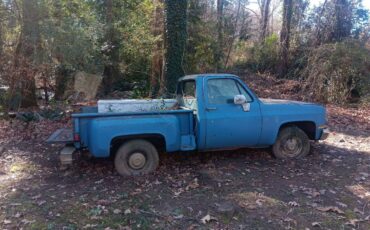 Chevy-c10-truck-1985-blue-4