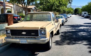 Chevy-c20-1975-1
