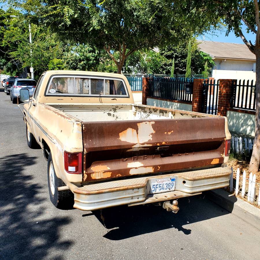 Chevy-c20-1975-3