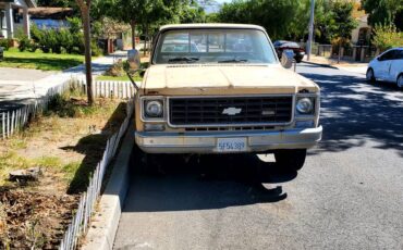 Chevy-c20-1975