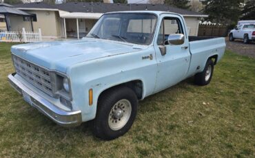 Chevy-c20-1979-blue-1