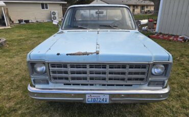 Chevy-c20-1979-blue-10