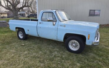 Chevy-c20-1979-blue-20