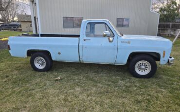 Chevy-c20-scotsdale-1979-blue-16