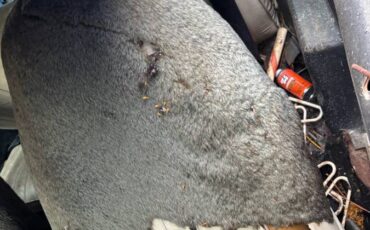 Chevy-camaro-1978-white-12