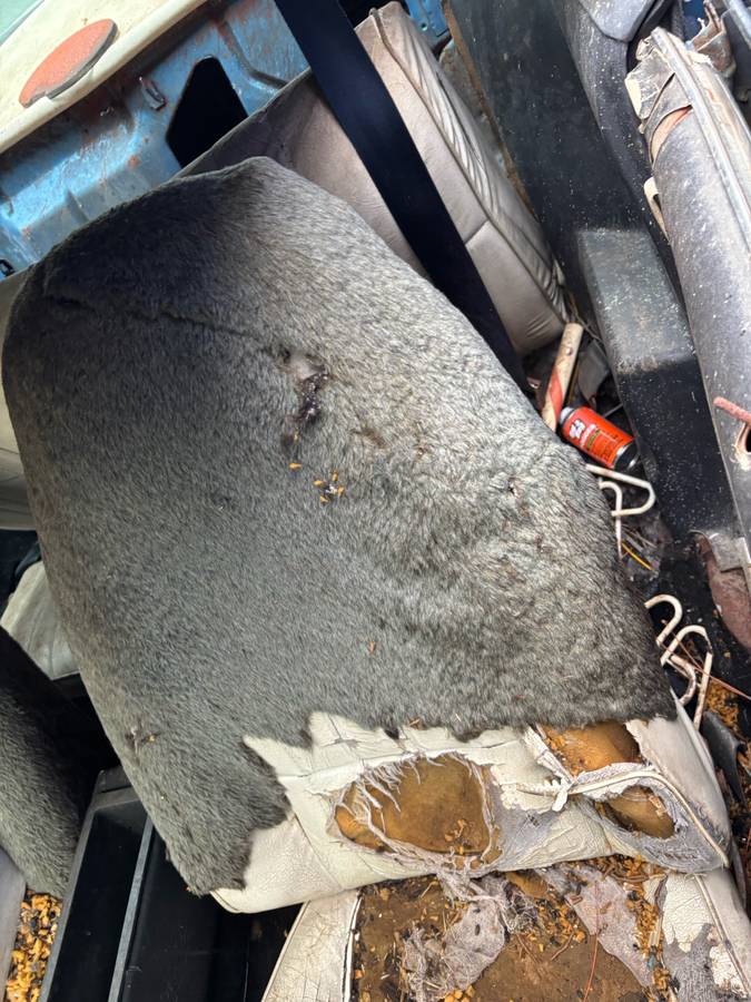 Chevy-camaro-1978-white-12