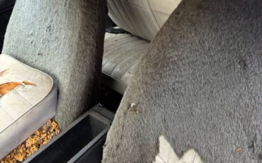 Chevy-camaro-1978-white-13