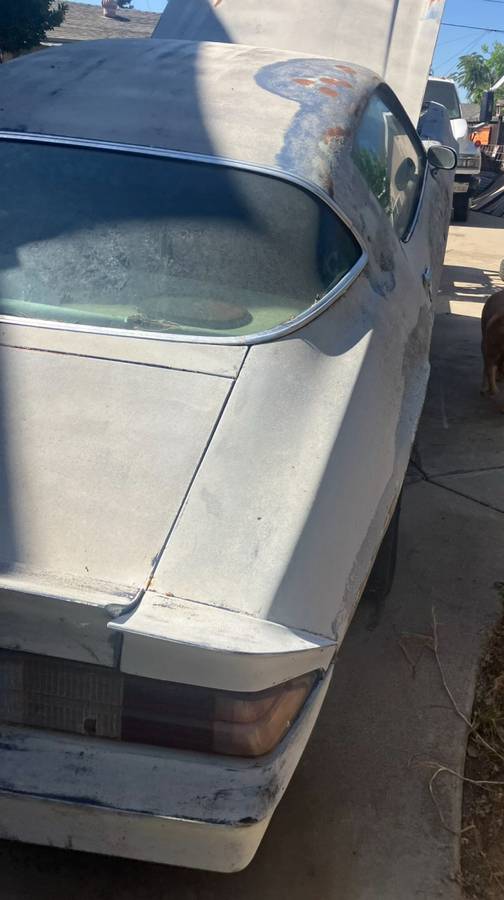 Chevy-camaro-1978-white-15