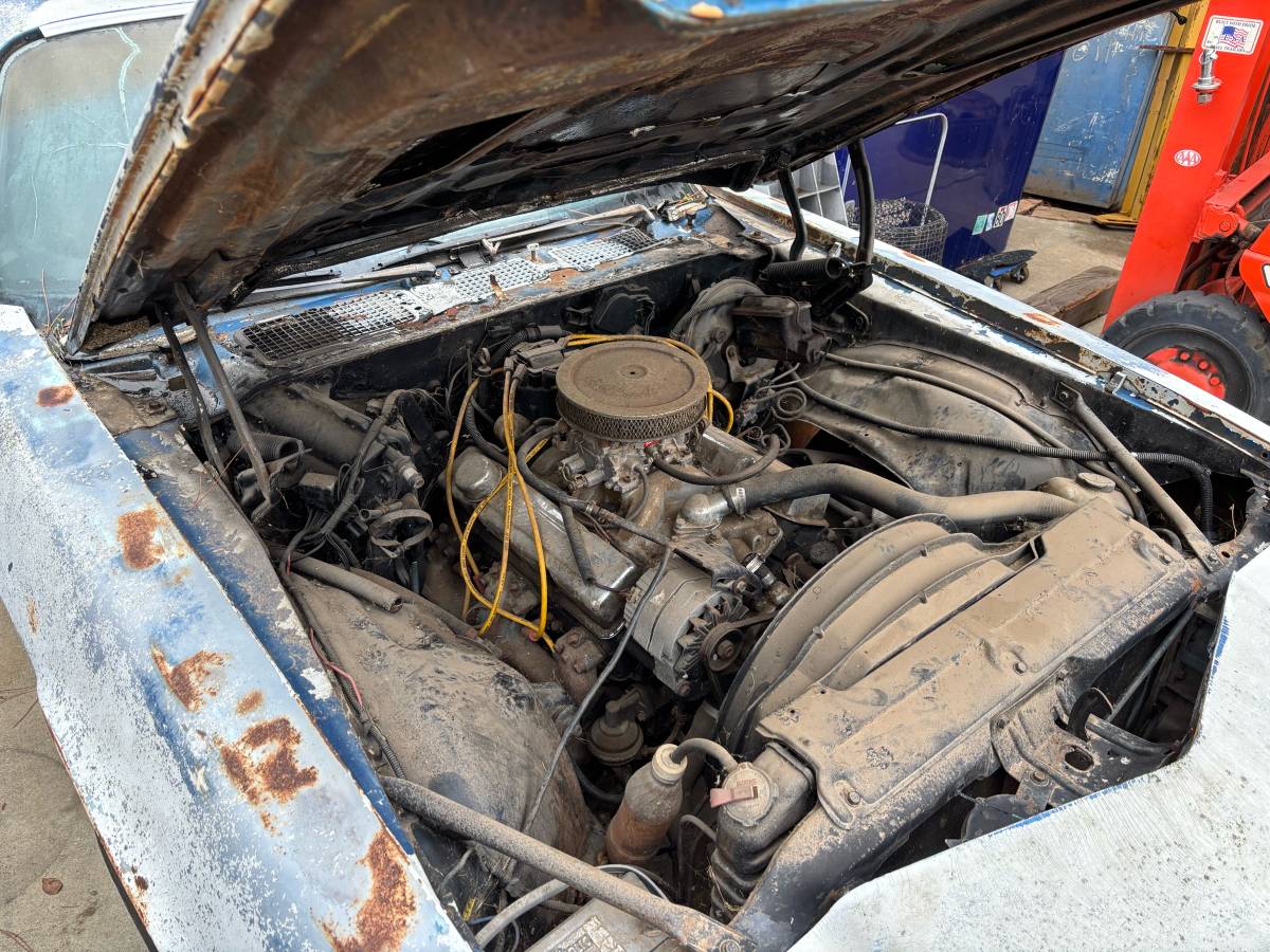 Chevy-camaro-1978-white-3