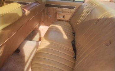 Chevy-caprice-1978-10