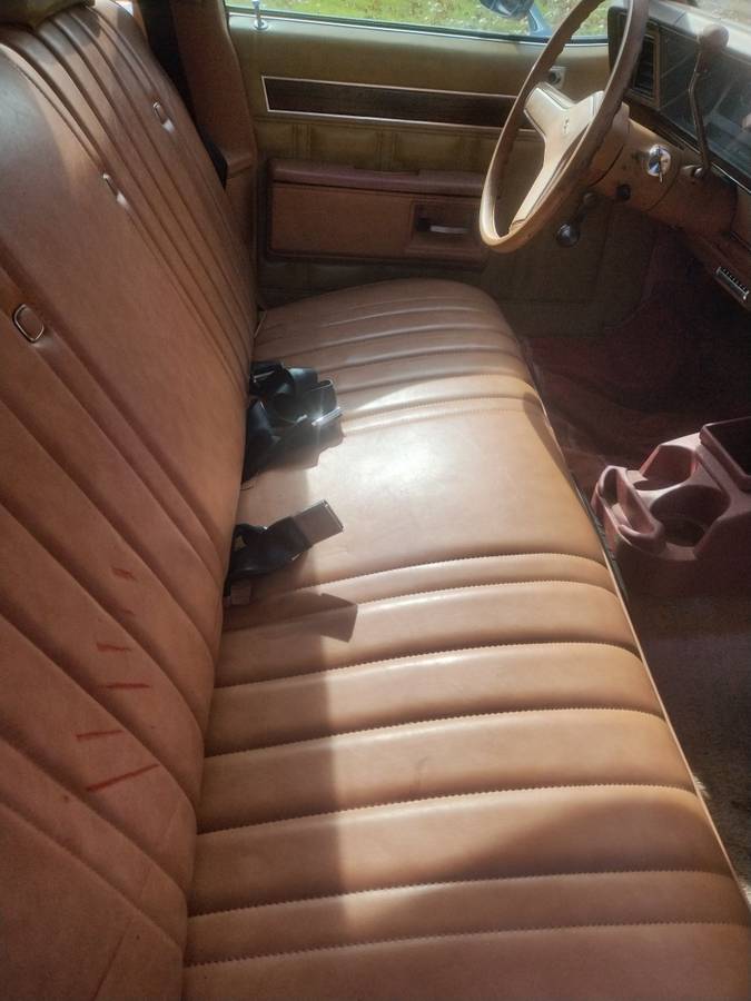 Chevy-caprice-1978-12