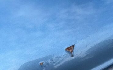 Chevy-caprice-1985-7