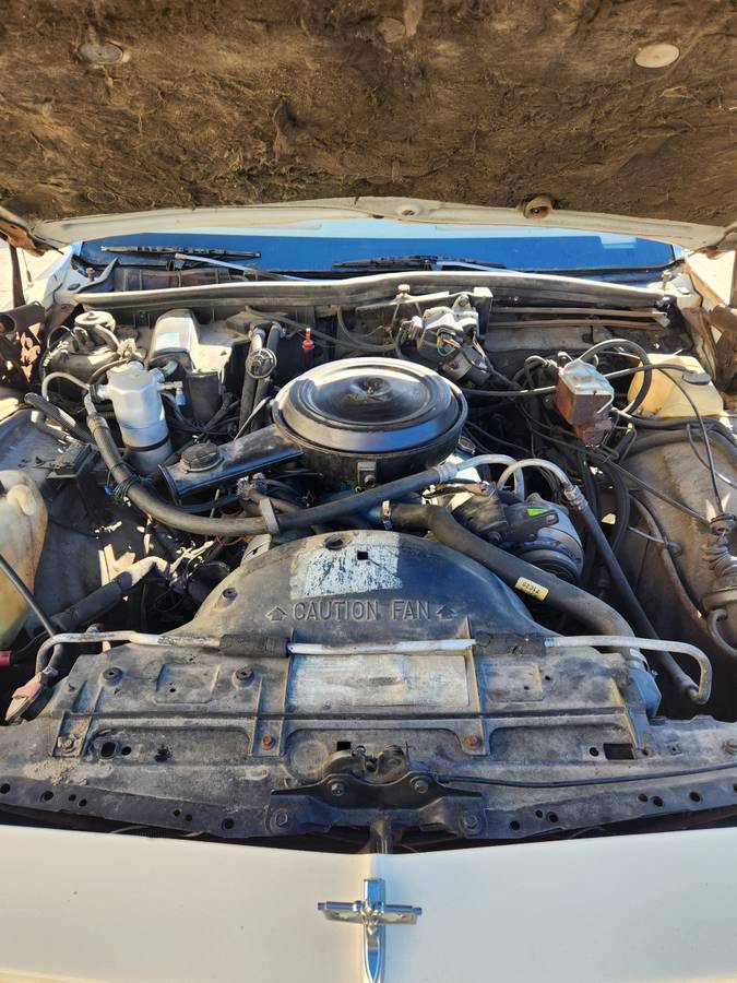 Chevy-caprice-1985-7