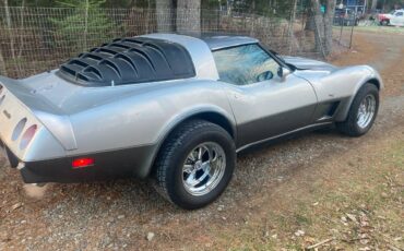 Chevy-corvette-1978-silver-2