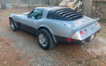Chevy-corvette-1978-silver-3