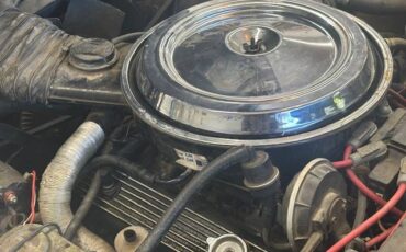 Chevy-corvette-1981-10