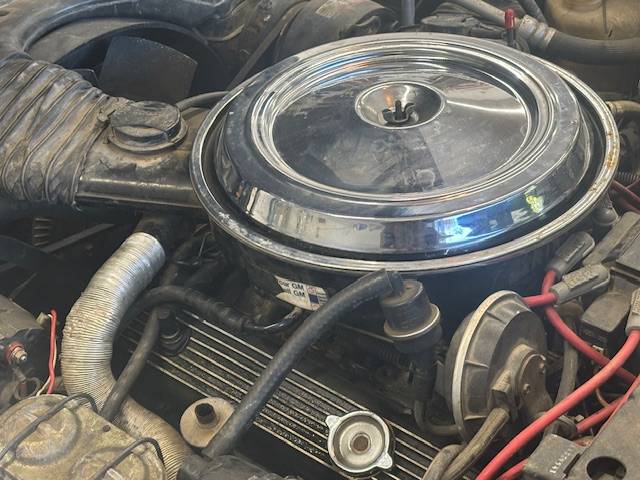 Chevy-corvette-1981-10