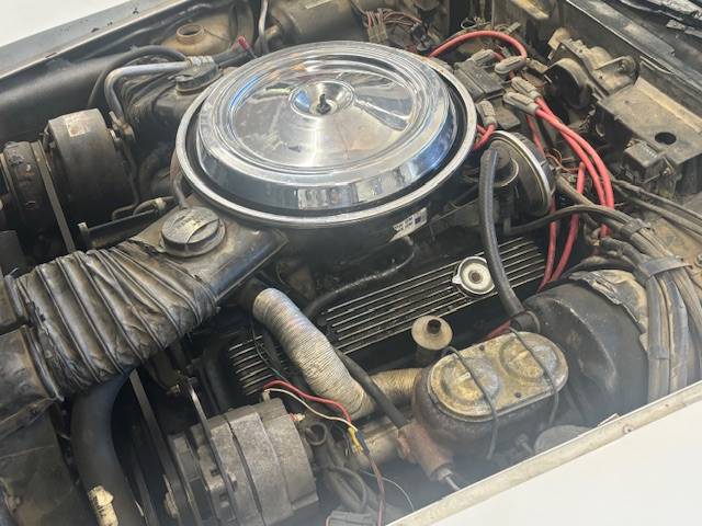 Chevy-corvette-1981-11