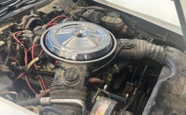 Chevy-corvette-1981-12