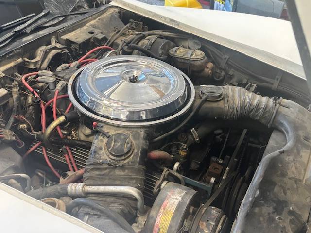 Chevy-corvette-1981-12